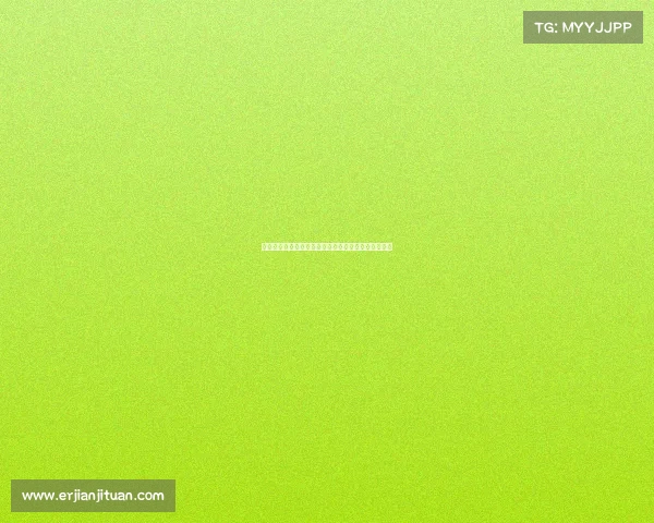 掘金主场赛事激情对决球队拼搏球迷助威共创辉煌瞬间